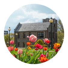 Image of the Marist campus with blooming flowers in the foreground.